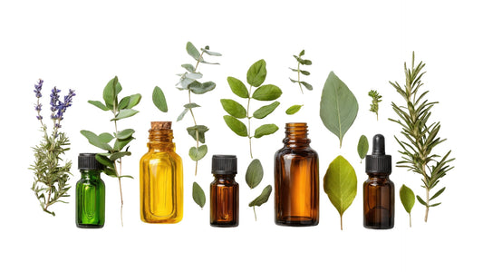 Inside Hair Oil Manufacturing: How Genext Lab Crafts Quality Hair Care Solutions